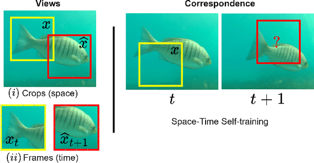 Figure 4 for Transformer-based Self-Supervised Fish Segmentation in Underwater Videos