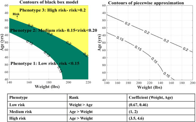 Figure 1 for Piecewise Approximations of Black Box Models for Model Interpretation