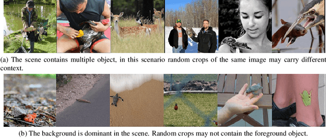 Figure 1 for Spatial Cross-Attention Improves Self-Supervised Visual Representation Learning