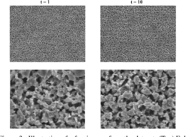 Figure 3 for Assisting human experts in the interpretation of their visual process: A case study on assessing copper surface adhesive potency