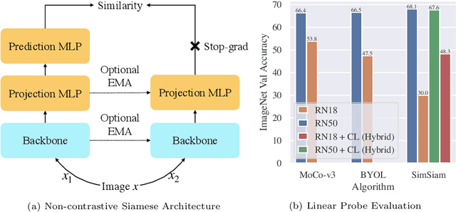 Figure 1 for Understanding Collapse in Non-Contrastive Learning