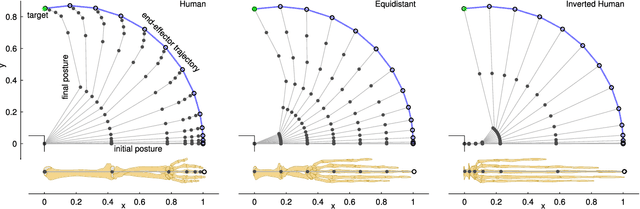 Figure 1 for Proximodistal Exploration in Motor Learning as an Emergent Property of Optimization