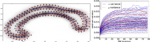 Figure 4 for A Stochastic Large Deformation Model for Computational Anatomy
