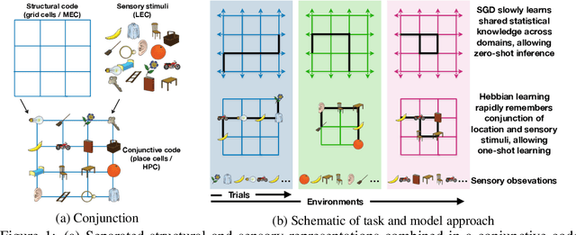 Figure 1 for Generalisation of structural knowledge in the hippocampal-entorhinal system