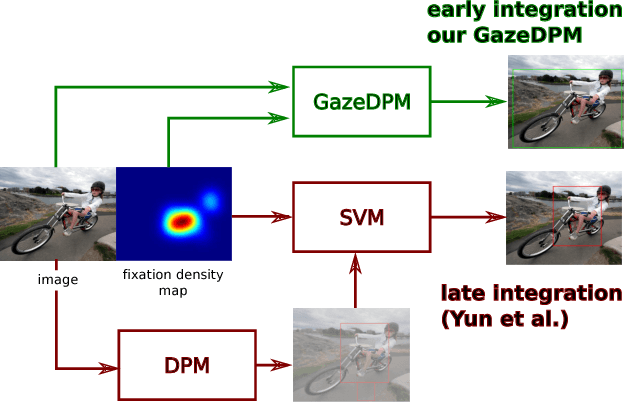 Figure 1 for GazeDPM: Early Integration of Gaze Information in Deformable Part Models