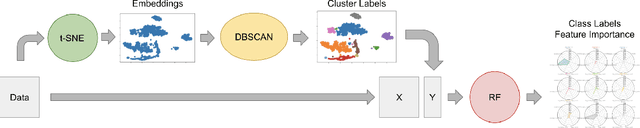 Figure 1 for Data Segmentation via t-SNE, DBSCAN, and Random Forest