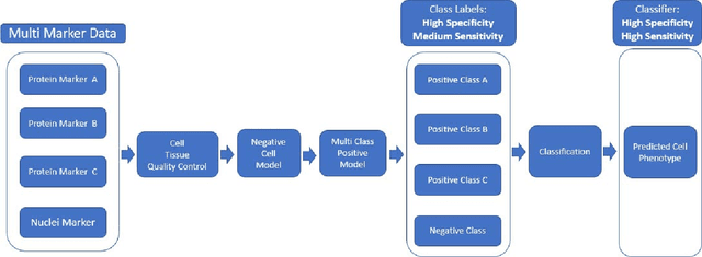 Figure 2 for Automated Phenotyping via Cell Auto Training (CAT) on the Cell DIVE Platform