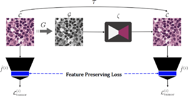 Figure 4 for Neural Stain-Style Transfer Learning using GAN for Histopathological Images