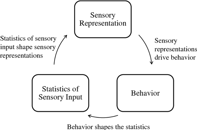 Figure 1 for An active efficient coding model of the optokinetic nystagmus