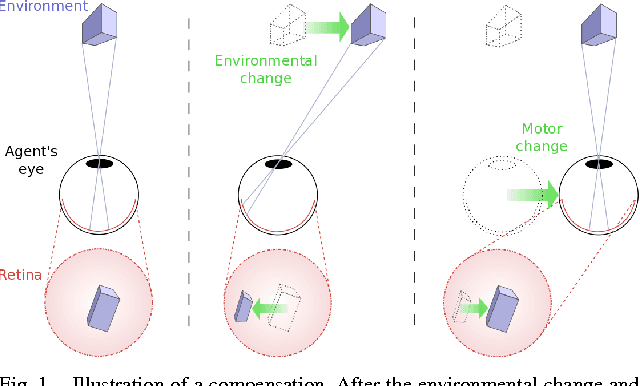 Figure 1 for A Non-linear Approach to Space Dimension Perception by a Naive Agent