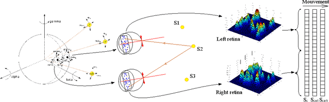 Figure 2 for A Non-linear Approach to Space Dimension Perception by a Naive Agent