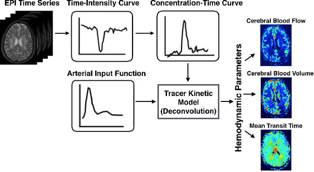 Figure 2 for Accelerated Reconstruction of Perfusion-Weighted MRI Enforcing Jointly Local and Nonlocal Spatio-temporal Constraints