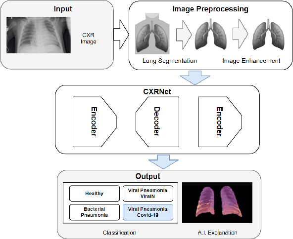 Figure 1 for CXR-Net: An Encoder-Decoder-Encoder Multitask Deep Neural Network for Explainable and Accurate Diagnosis of COVID-19 pneumonia with Chest X-ray Images