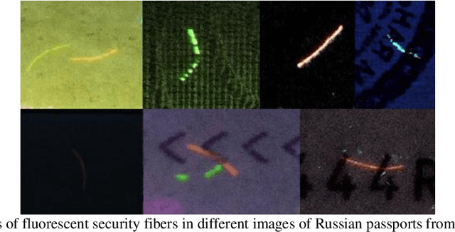 Figure 3 for A Method of Fluorescent Fibers Detection on Identity Documents under Ultraviolet Light