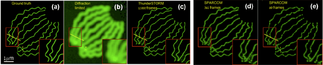 Figure 4 for Deep Unrolled Recovery in Sparse Biological Imaging