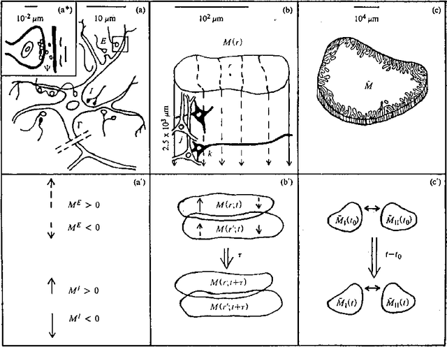Figure 1 for Ideas by Statistical Mechanics (ISM)