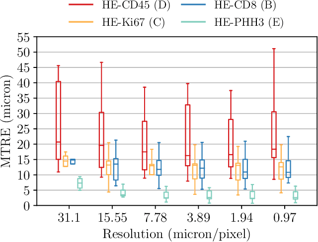 Figure 4 for High-resolution Image Registration of Consecutive and Re-stained Sections in Histopathology