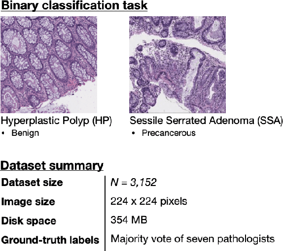 Figure 1 for A Petri Dish for Histopathology Image Analysis