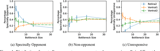 Figure 1 for Spatial and Colour Opponency in Anatomically Constrained Deep Networks