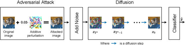 Figure 1 for Threat Model-Agnostic Adversarial Defense using Diffusion Models
