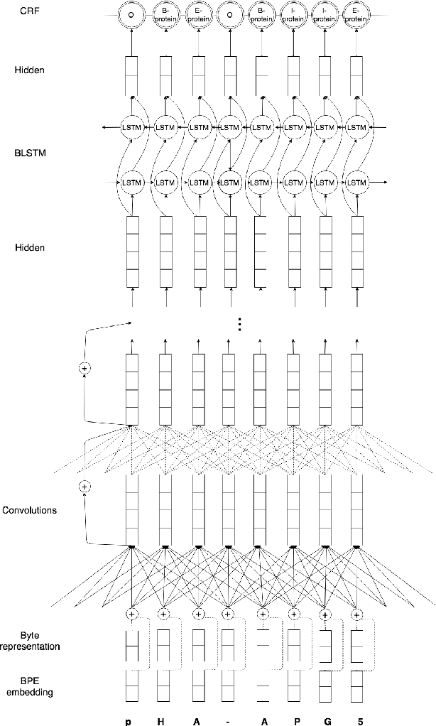 Figure 2 for A Byte-sized Approach to Named Entity Recognition