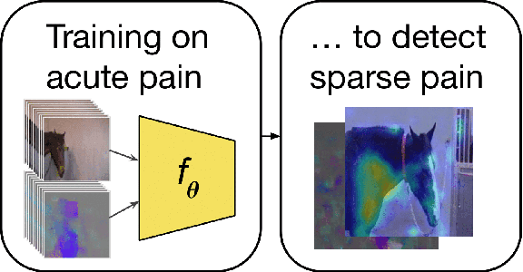 Figure 1 for Sharing Pain: Using Domain Transfer Between Pain Types for Recognition of Sparse Pain Expressions in Horses