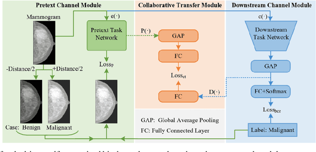 Figure 1 for Task-driven Self-supervised Bi-channel Networks Learning for Diagnosis of Breast Cancers with Mammography
