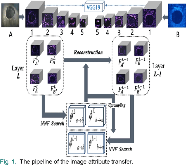 Figure 1 for A Matching Algorithm based on Image Attribute Transfer and Local Features for Underwater Acoustic and Optical Images