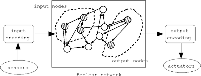 Figure 2 for Boolean network robotics: a proof of concept