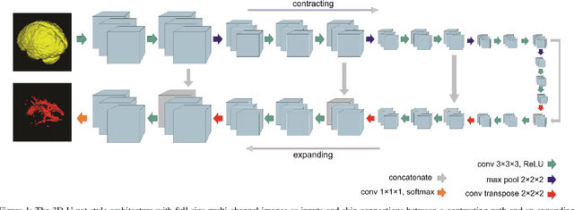Figure 2 for Asymmetric Similarity Loss Function to Balance Precision and Recall in Highly Unbalanced Deep Medical Image Segmentation
