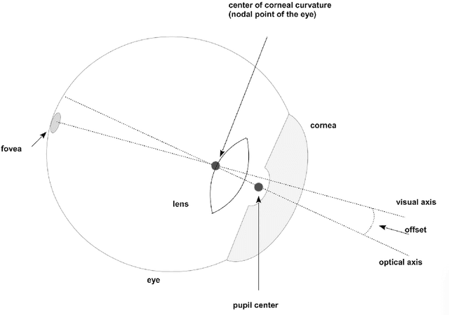Figure 1 for Latent gaze information in highly dynamic decision-tasks