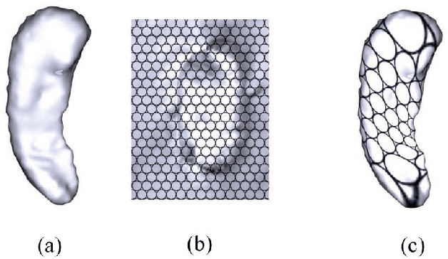 Figure 2 for Beltrami Signature: A Novel Invariant 2D Shape Representation for Object Classification