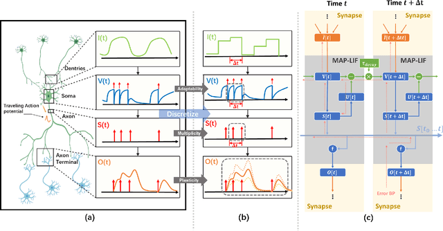 Figure 4 for MAP-SNN: Mapping Spike Activities with Multiplicity, Adaptability, and Plasticity into Bio-Plausible Spiking Neural Networks