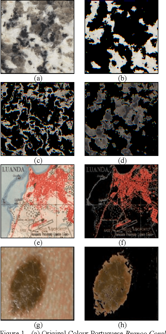 Figure 1 for Image Colour Segmentation by Genetic Algorithms