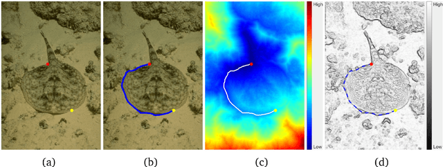 Figure 1 for From Active Contours to Minimal Geodesic Paths: New Solutions to Active Contours Problems by Eikonal Equations