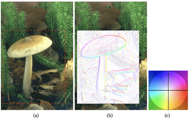 Figure 3 for From Active Contours to Minimal Geodesic Paths: New Solutions to Active Contours Problems by Eikonal Equations