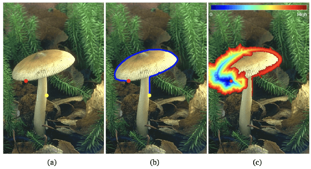 Figure 4 for From Active Contours to Minimal Geodesic Paths: New Solutions to Active Contours Problems by Eikonal Equations
