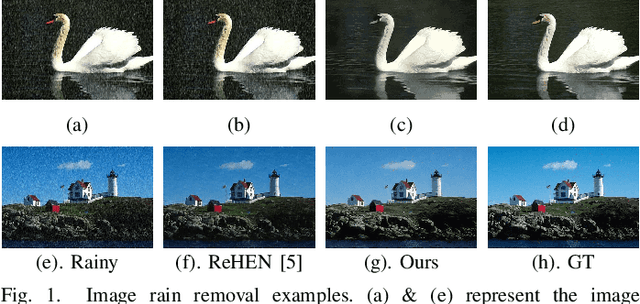 Figure 1 for TRNR: Task-Driven Image Rain and Noise Removal with a Few Images Based on Patch Analysis