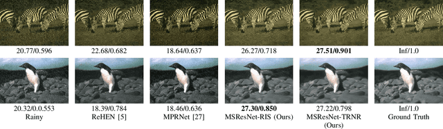 Figure 2 for TRNR: Task-Driven Image Rain and Noise Removal with a Few Images Based on Patch Analysis