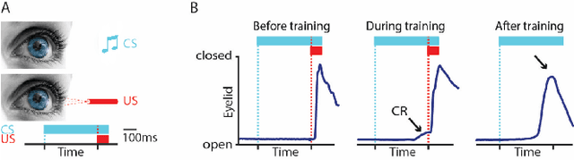 Figure 1 for Real-Time Face and Landmark Localization for Eyeblink Detection