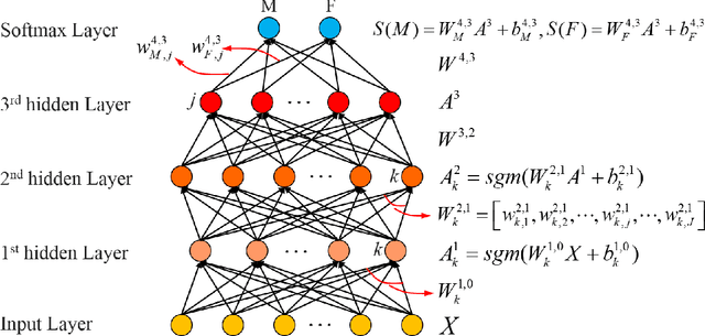 Figure 2 for Deep Learning and Bayesian Deep Learning Based Gender Prediction in Multi-Scale Brain Functional Connectivity