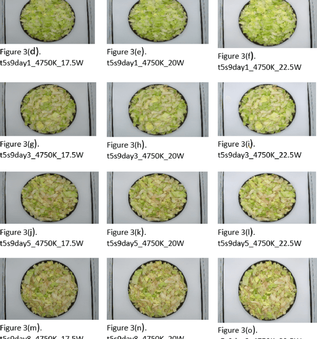 Figure 4 for A novel illumination condition varied image dataset-Food Vision Dataset (FVD) for fair and reliable consumer acceptability predictions from food