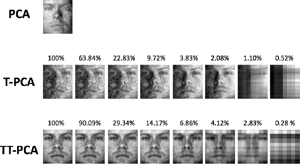 Figure 1 for Principal Component Analysis with Tensor Train Subspace