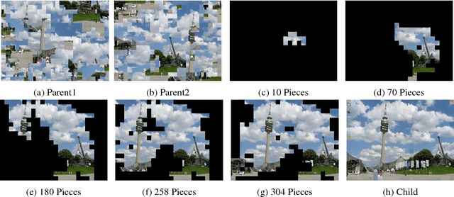Figure 3 for A Genetic Algorithm-Based Solver for Very Large Jigsaw Puzzles