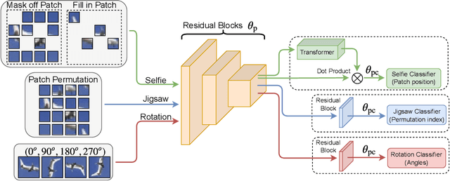 Figure 4 for Adversarial Robustness: From Self-Supervised Pre-Training to Fine-Tuning