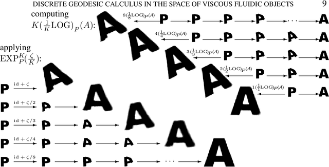 Figure 4 for Discrete geodesic calculus in the space of viscous fluidic objects