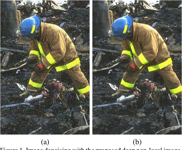 Figure 1 for Non-Local Color Image Denoising with Convolutional Neural Networks