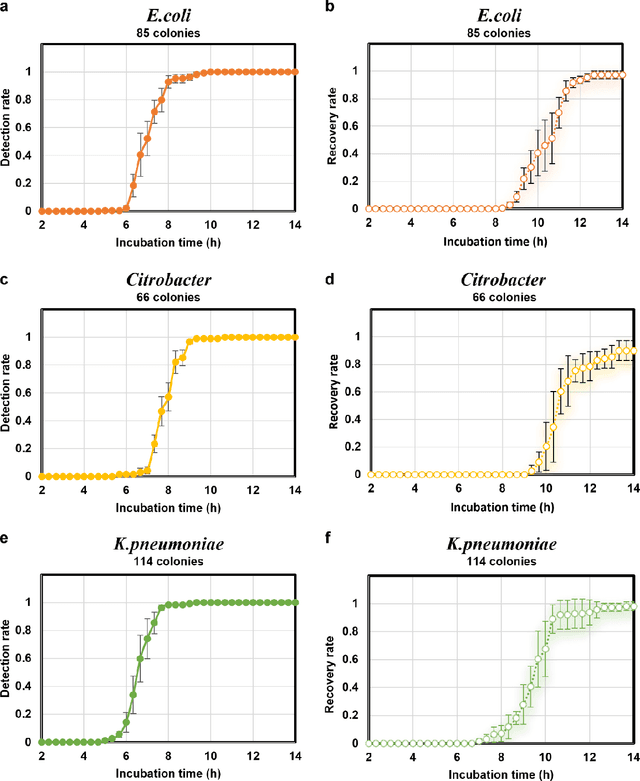 Figure 4 for Deep Learning-enabled Detection and Classification of Bacterial Colonies using a Thin Film Transistor (TFT) Image Sensor