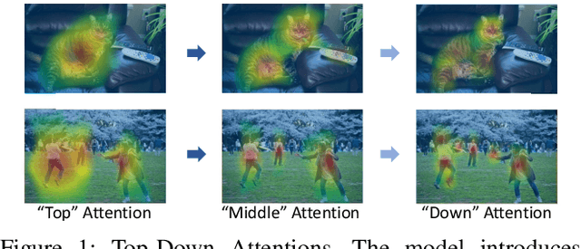 Figure 1 for TDAF: Top-Down Attention Framework for Vision Tasks