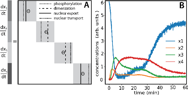 Figure 2 for Learning physically consistent mathematical models from data using group sparsity